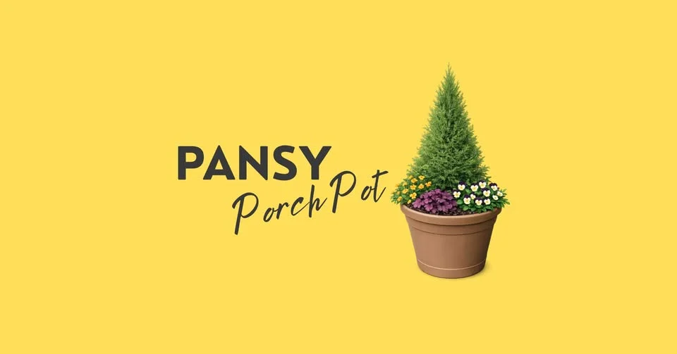 Workshop | Pansy Porch Pot