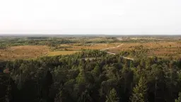 Outdoorveckan 2026: Vårvandring & orientering på Torsburgen