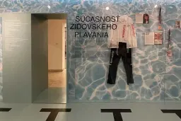 Židovská plavecká (r)evolúcia