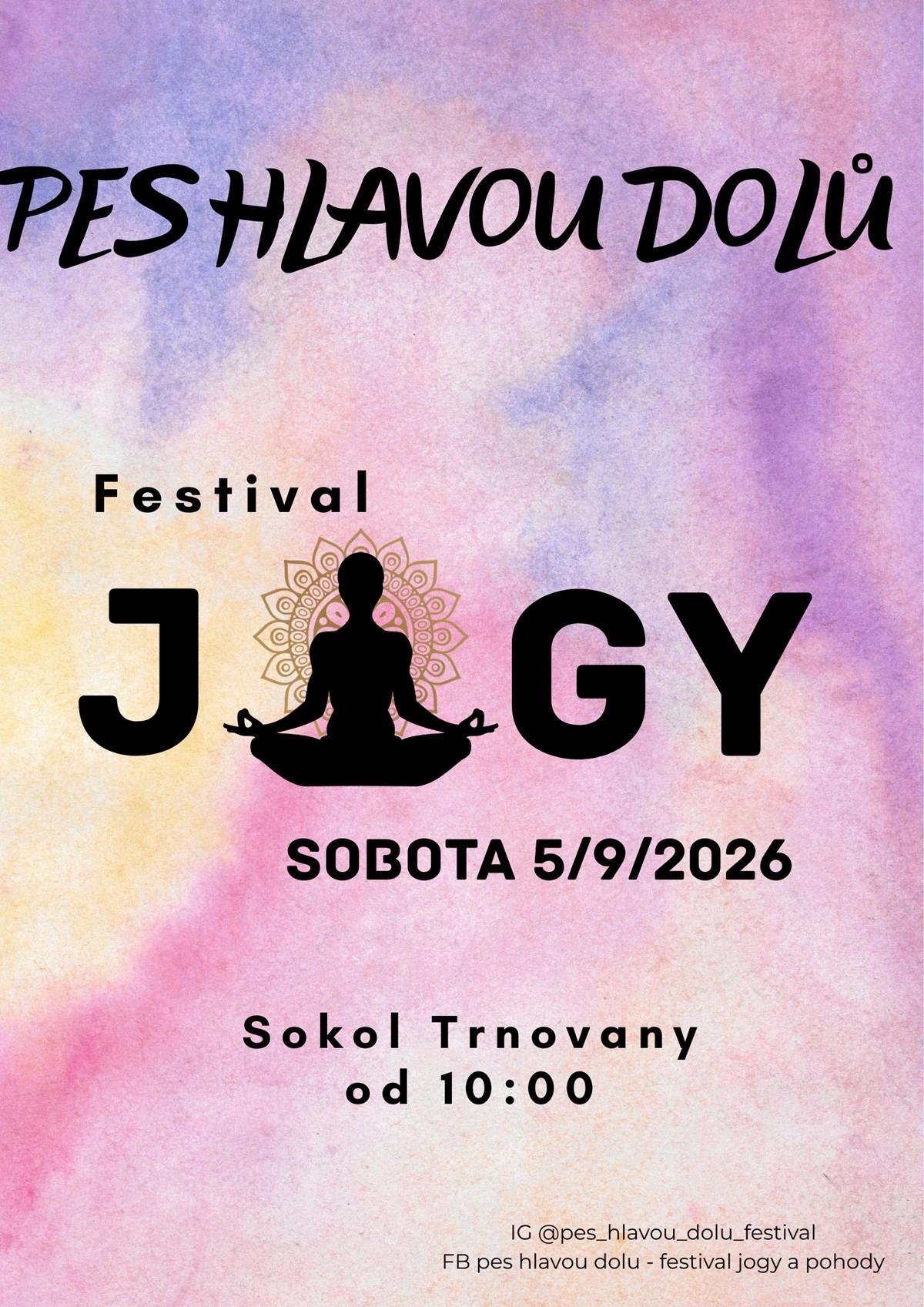 Teplický festival jógy - Pes hlavou dolů