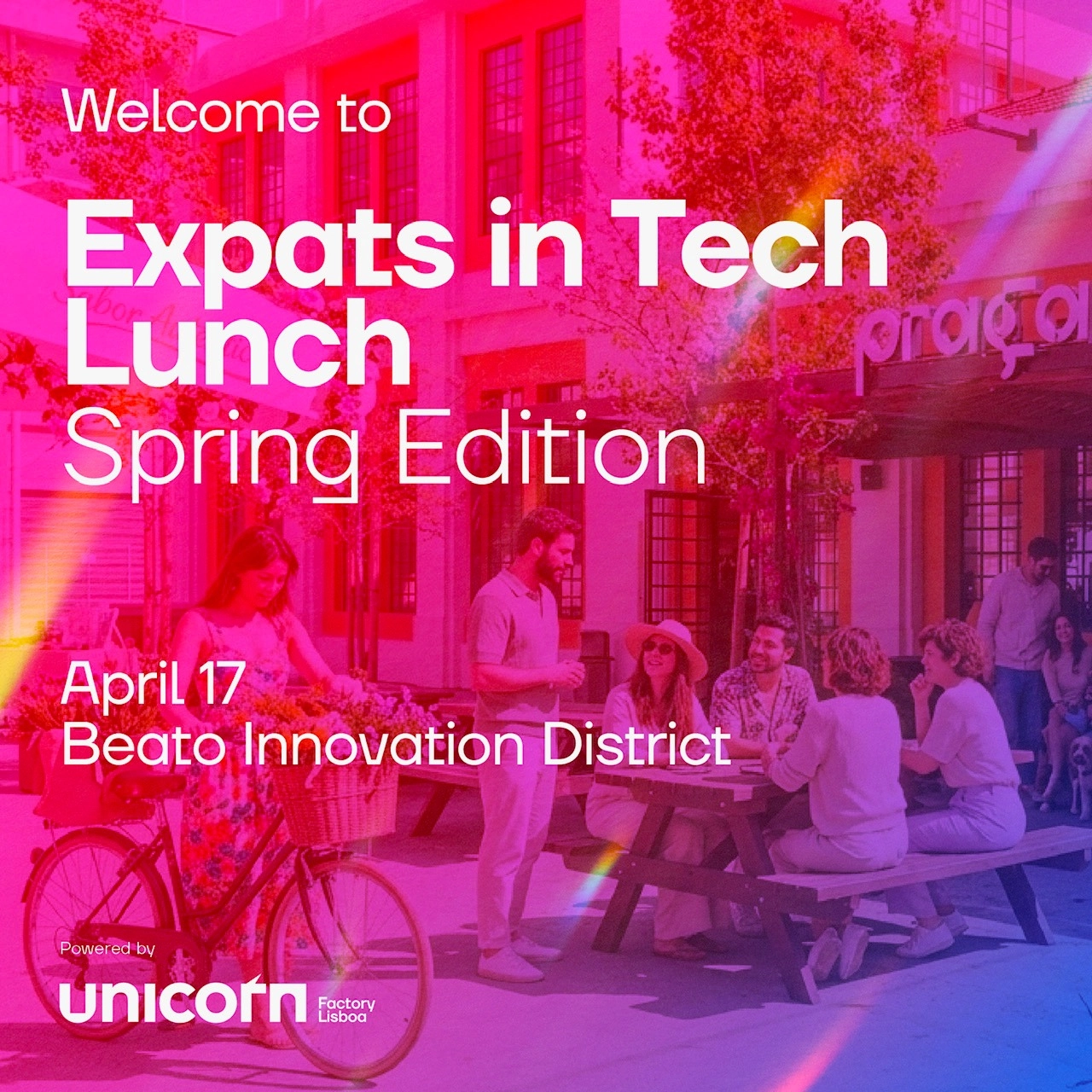 Expats in Tech Lunch | Spring Edition