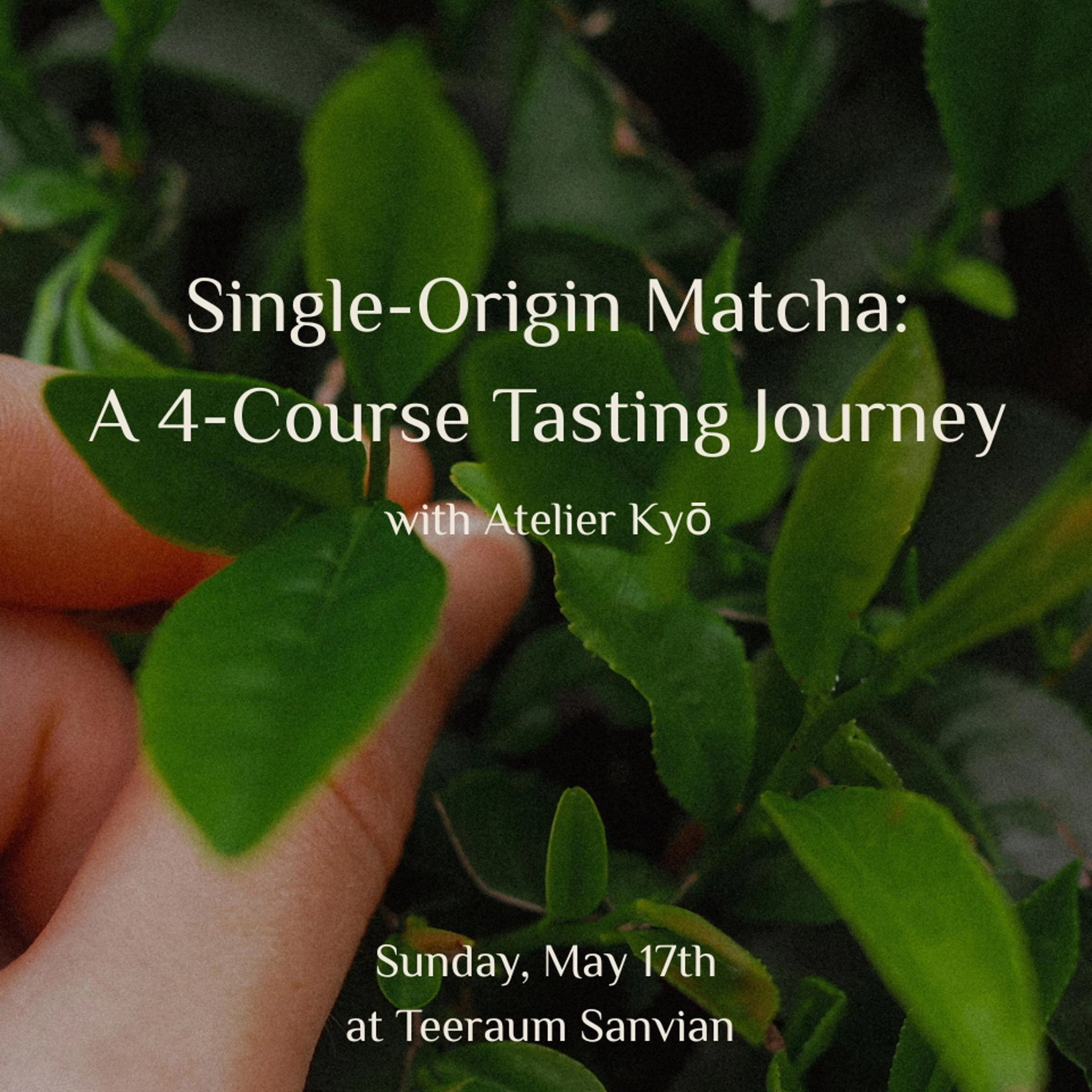 Single-Origin Matcha: A 4-Course Tasting Journey