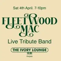 FLEETWOOD MAC - LIVE IN REIGATE (Tribute Band)