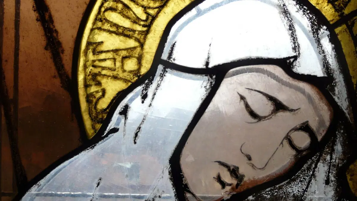 Uppsala Domkyrkokör m fl: Joseph Haydns Stabat Mater