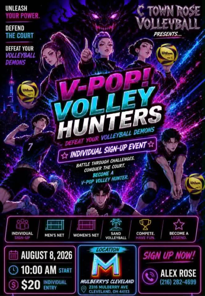 V Pop! Volley Hunters