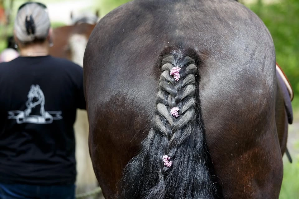 Öppet Stall med blomtema🌸🌷