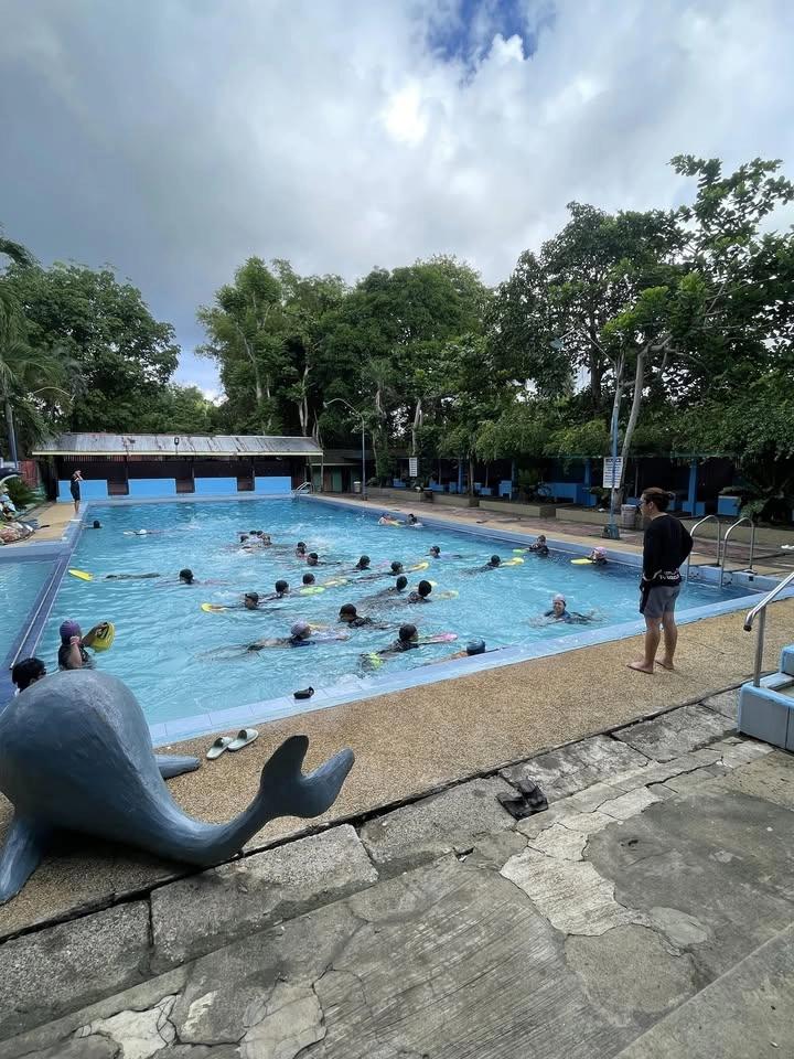 Swimming Lessons