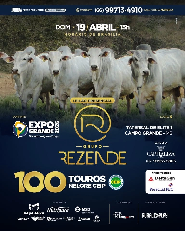 Leilão 100 Touros Nelore CEIP - GRUPO REZENDE
