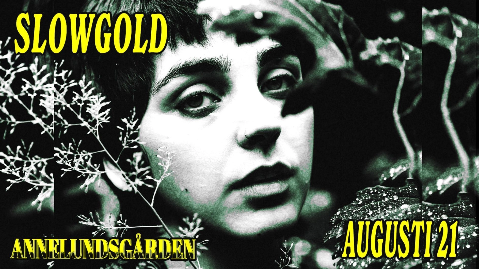 Slowgold | Annelundsgården