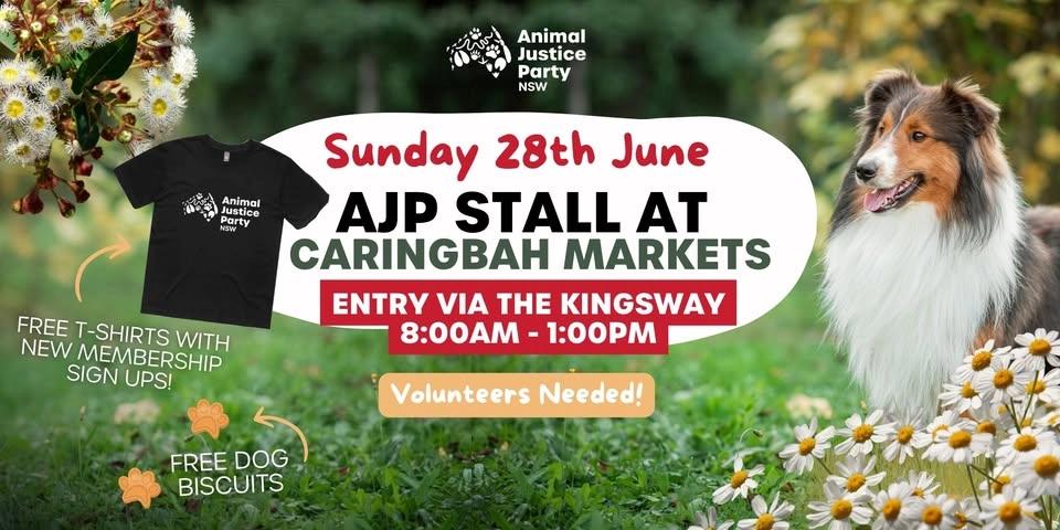 Animal Justice Party Stall @ Caringbah Markets
