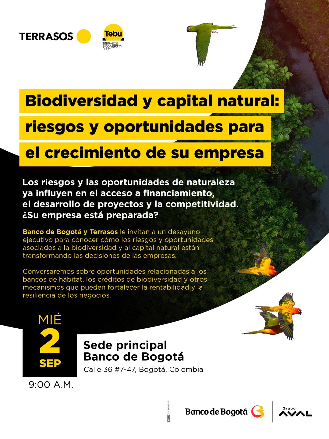 Biodiversidad y capital natural: riesgos y oportunidades para el crecimiento de su empresa