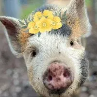 Easter Eggstravaganza