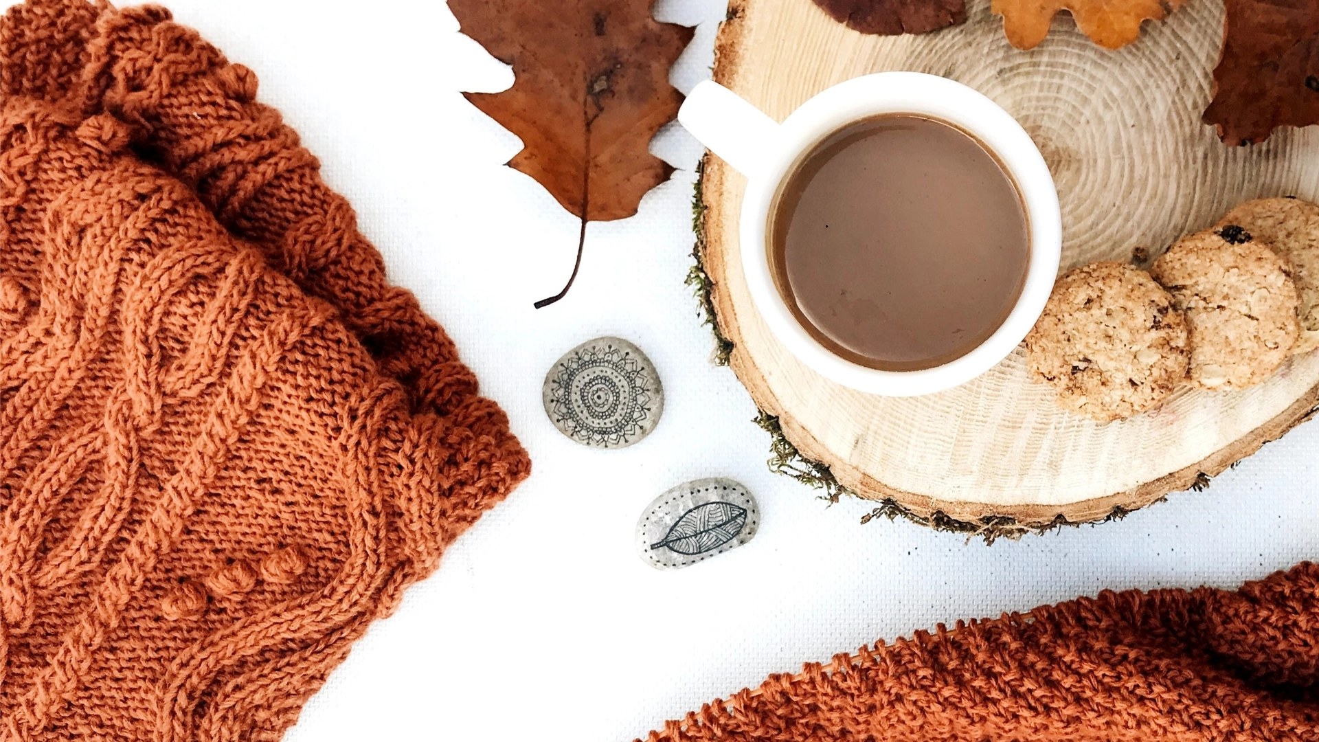 ☕ 🧶 Wednesday Stitch & Bitch 🧶 ☕