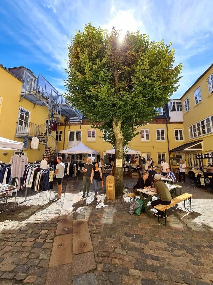 Gårdmarked hos LAKOR 🌞