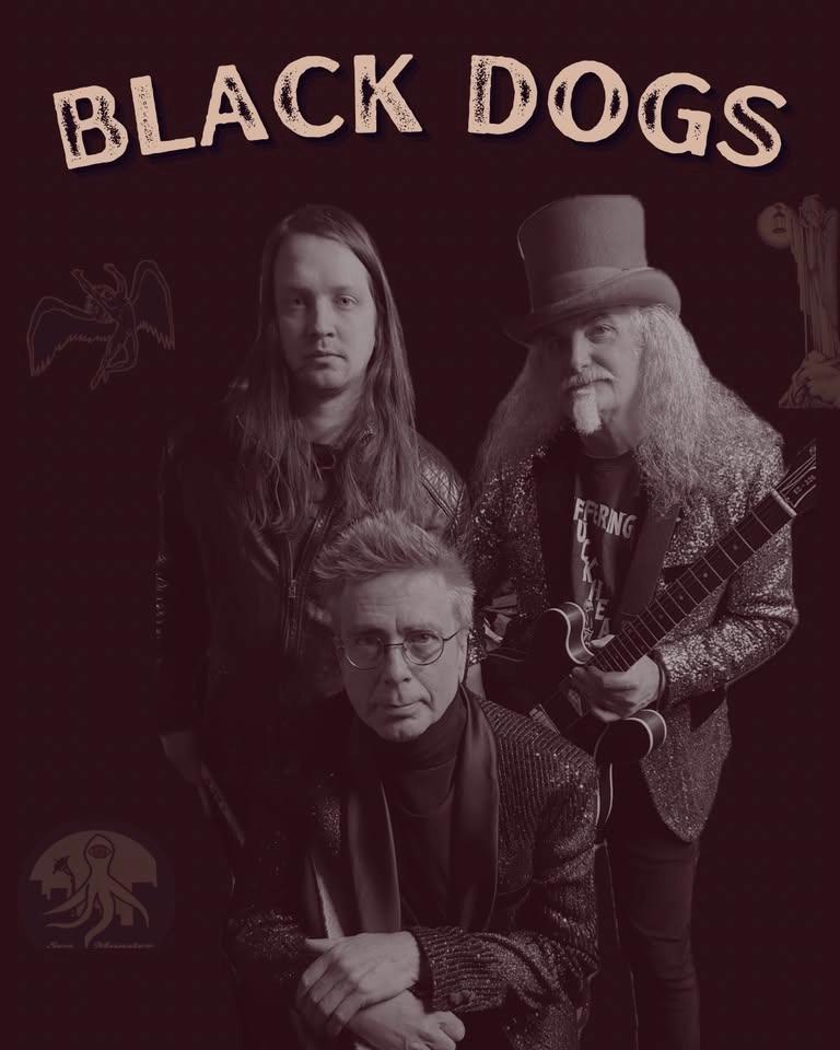 Black Dogs