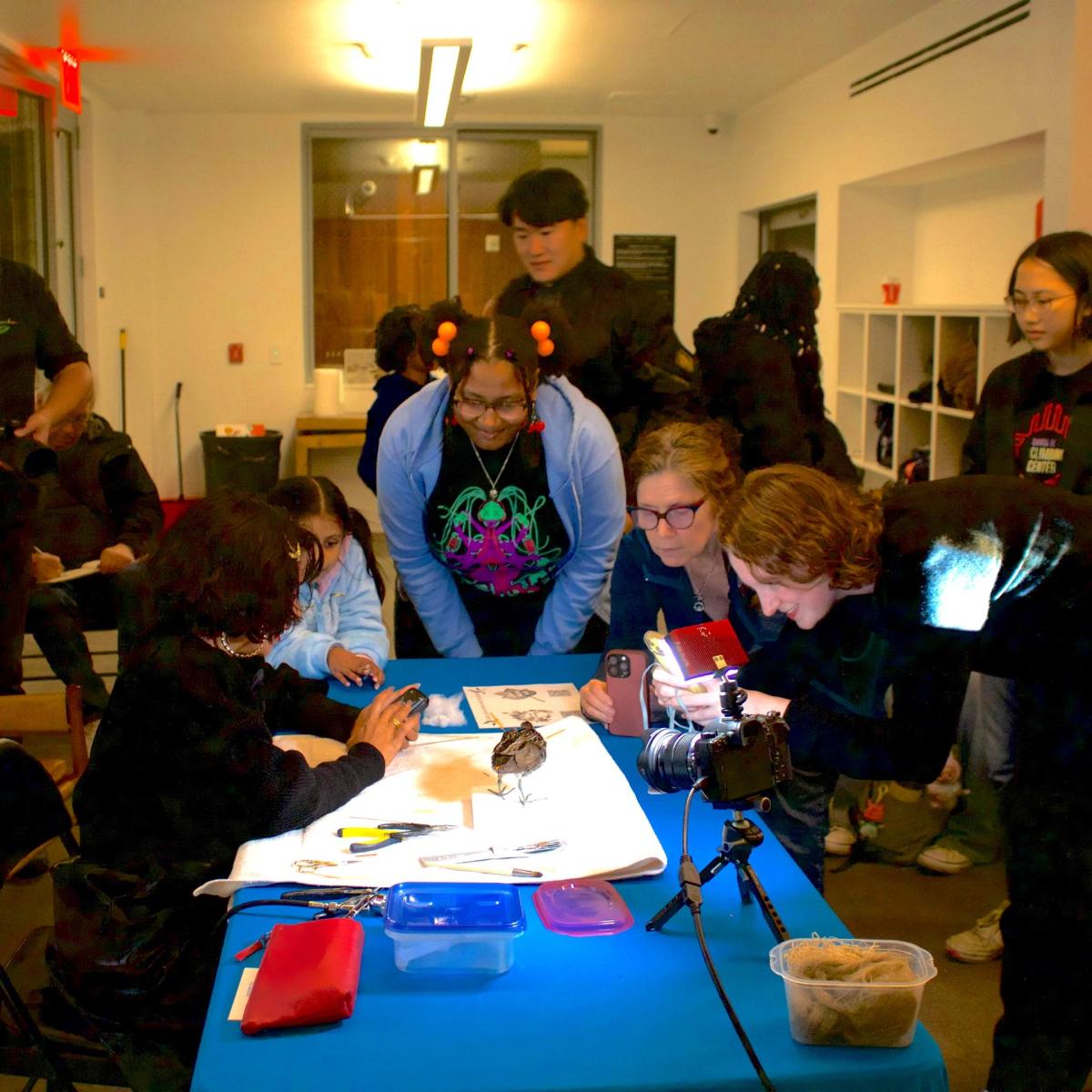 Taxidermy Demonstration & Drawing Workshop with Gotham Taxidermy and NYC Plover Project
