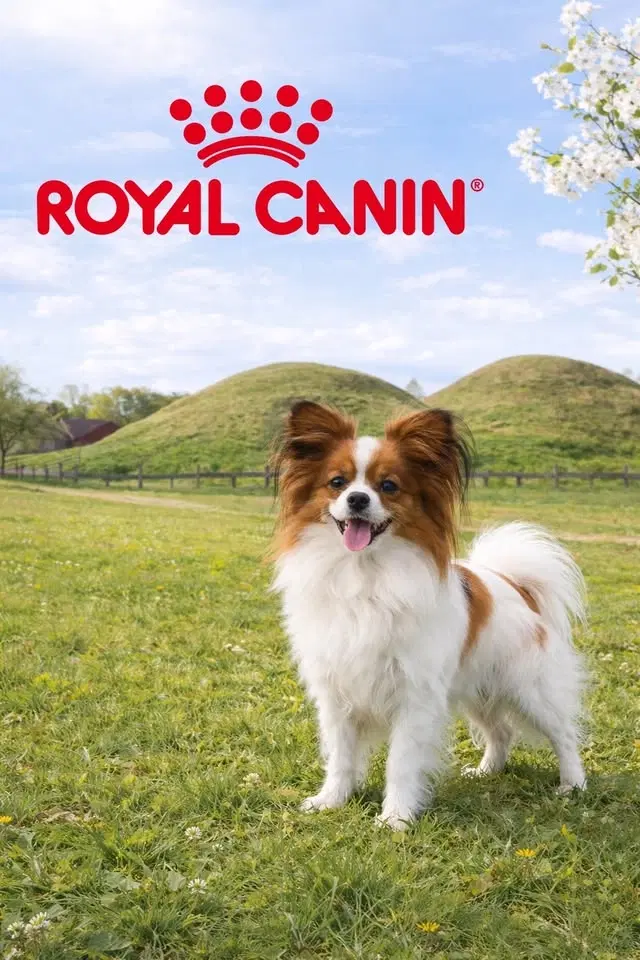 Vårpromenad med Royal Canin och Uppsala Läns KK