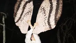 Nattens lekar – performance och visningar