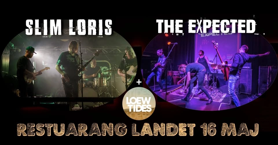 Slim Loris + The Expected + Loewtides