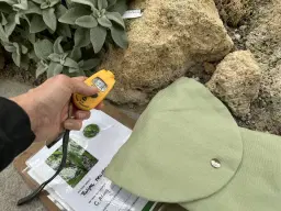 Bergstur för små vandrare