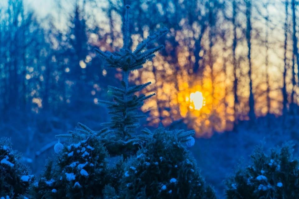 Winter Solstice Alchemy