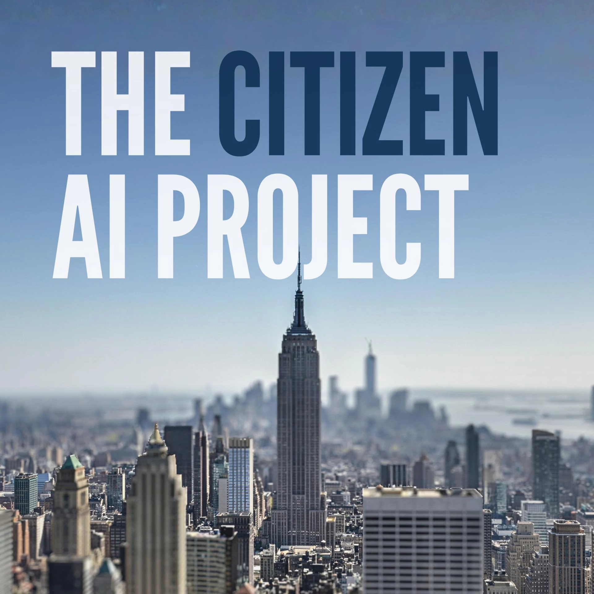 The Citizen AI Project
