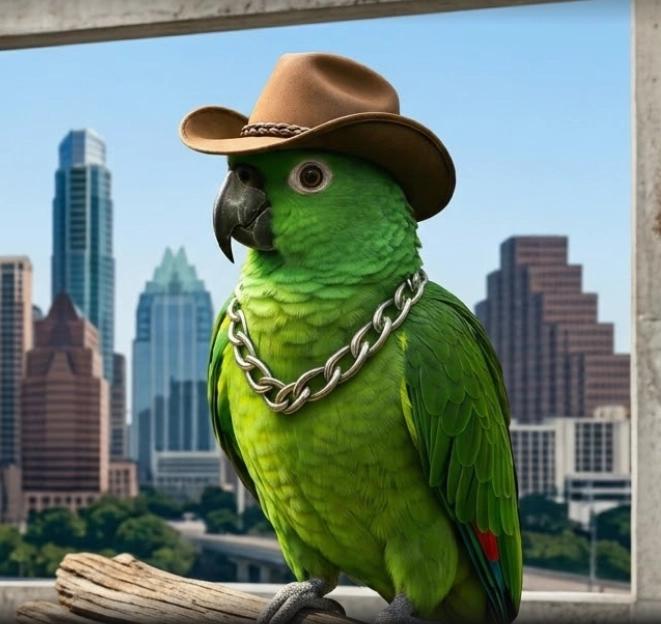 Austin LangChain AIMUG August Mixer and Showcase