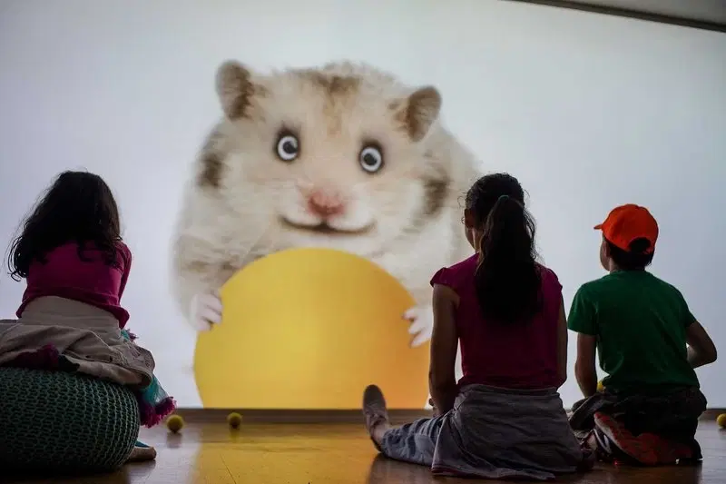 Podivuhodné dejiny umenia s profesorom Škrečkom