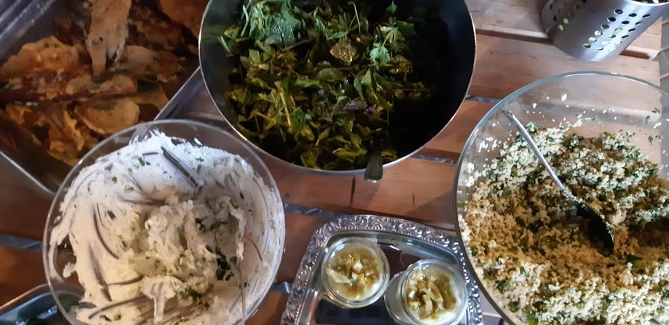 Wilde Küche … mit dem ersten Grün