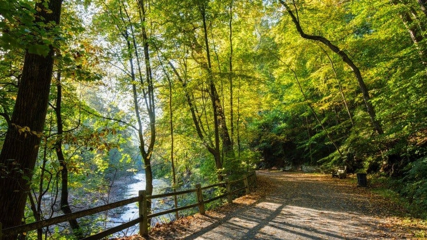 Philly Good: Easy Wissahickon Hike