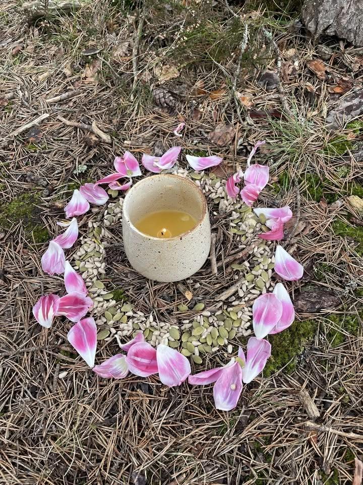 Höra hemma - en workshop om landkontakt och förkroppsligad animism