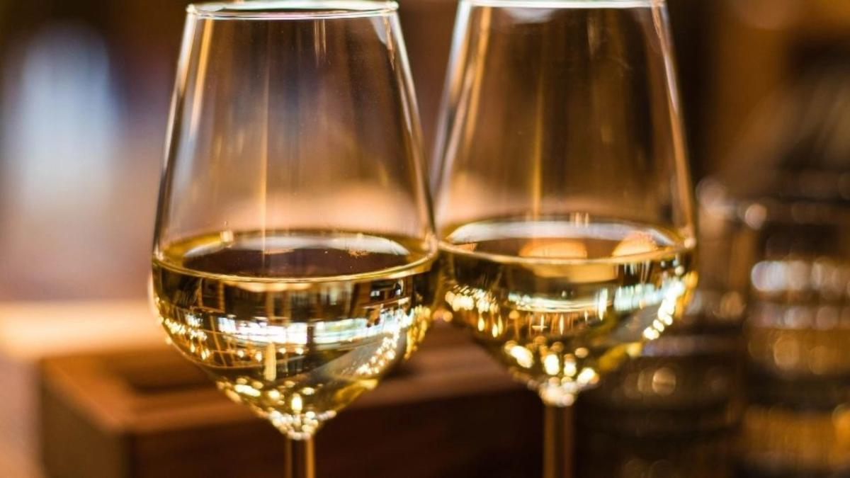 VINPROVNINGAR VINTERTID