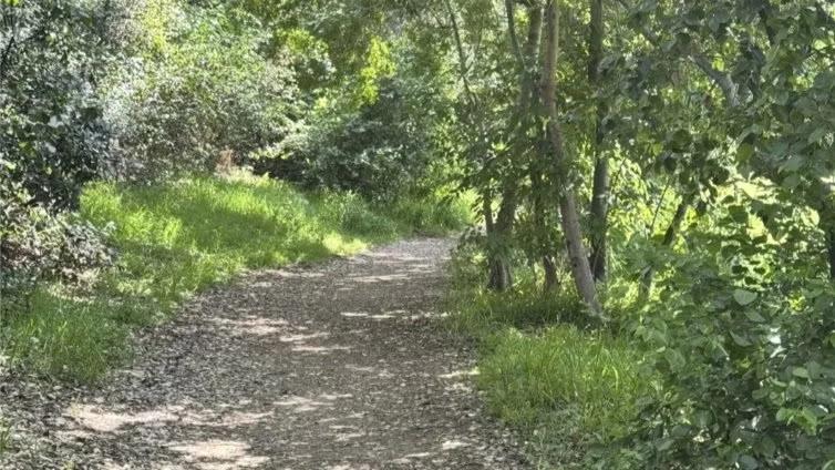 Funtastic Hike at Gabrielino Trail. Moderate Paced.