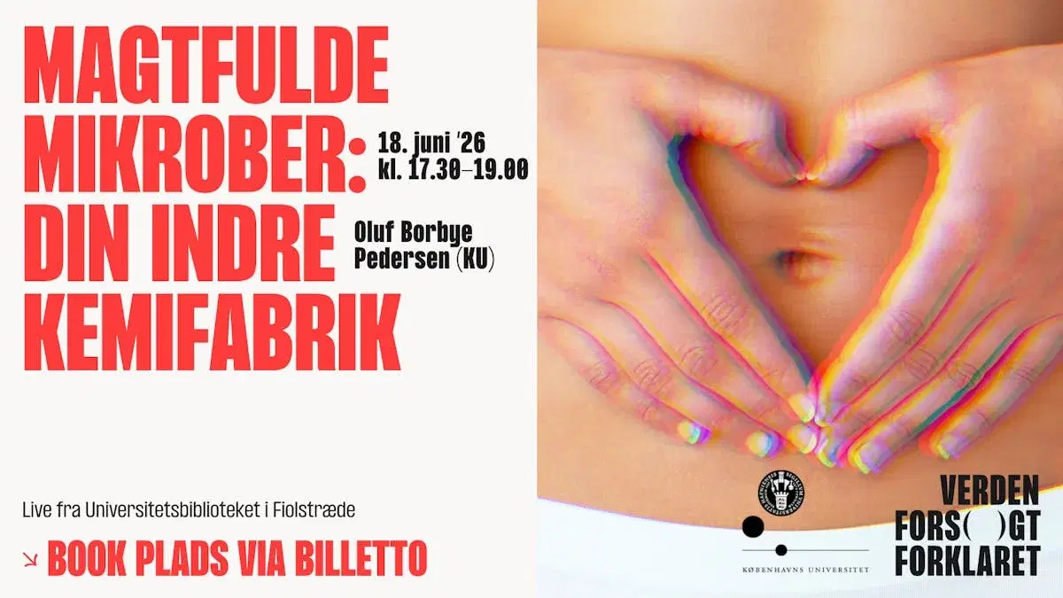 Magtfulde mikrober: Din indre kemifabrik