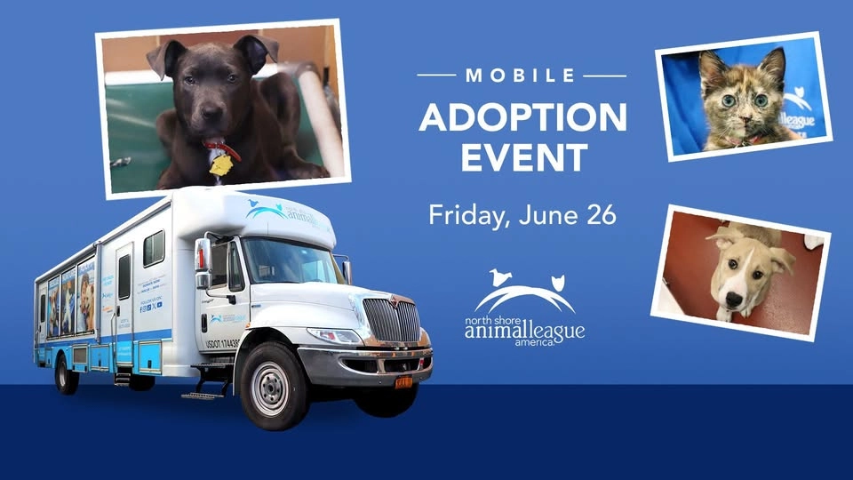 Meet Your New Best Friend at our MOBILE PET ADOPTION EVENT!
