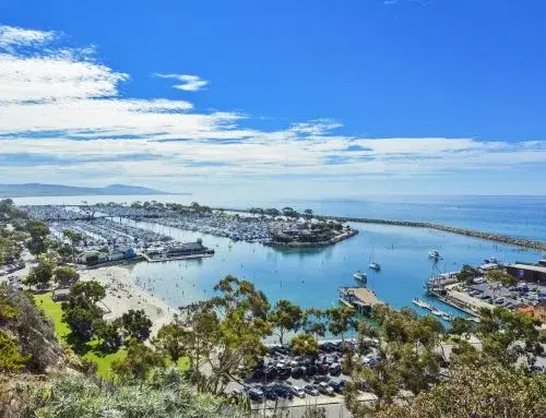 Dana Point Hike, Tidepools and Lunch with Rise Christian Singles Of Calvary Chapel Old Towne Orange