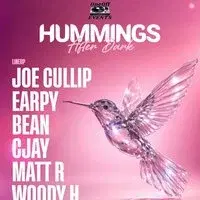 ONEOFF - Hummings After Dark!