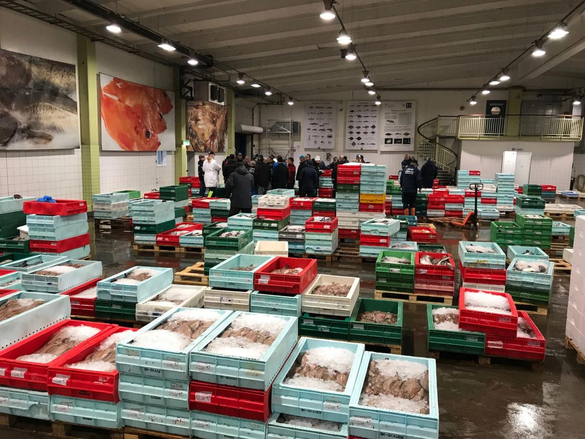 Ăppna guidade turer pĂ„ Göteborgs Fiskauktion