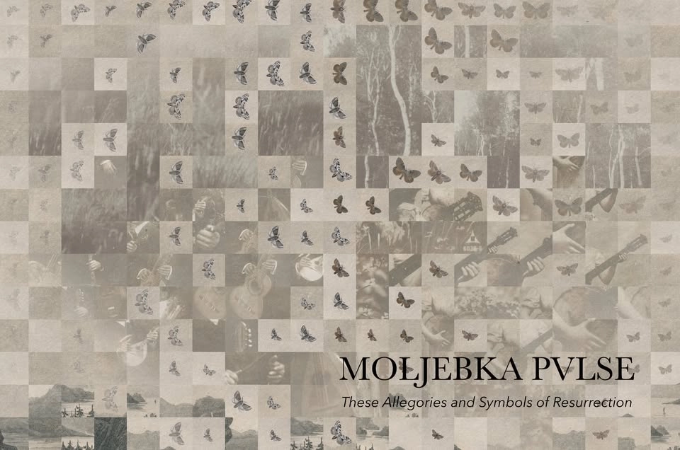 SAW: Moljebka Pvlse live!