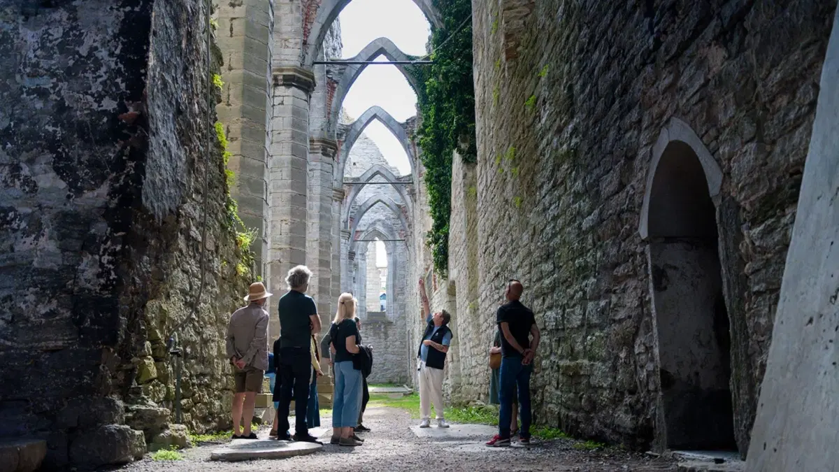 Stadsvandring: Ringmur, rosor och ruiner