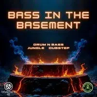 Bass in the basement