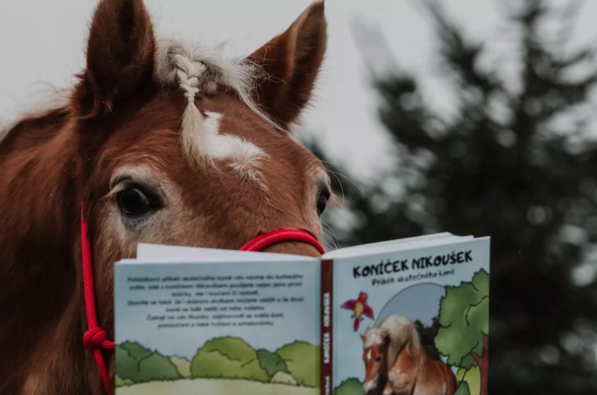 Autorské čtení knihy Koníček Nikoušek v parku Fantazium
