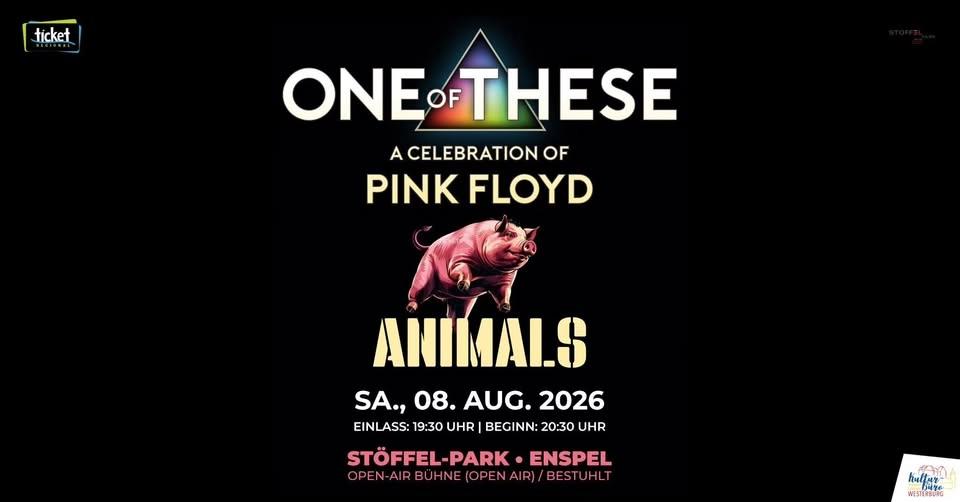 One of These Pink Floyd Tributes - Animals Tour (Stöffel-Park)