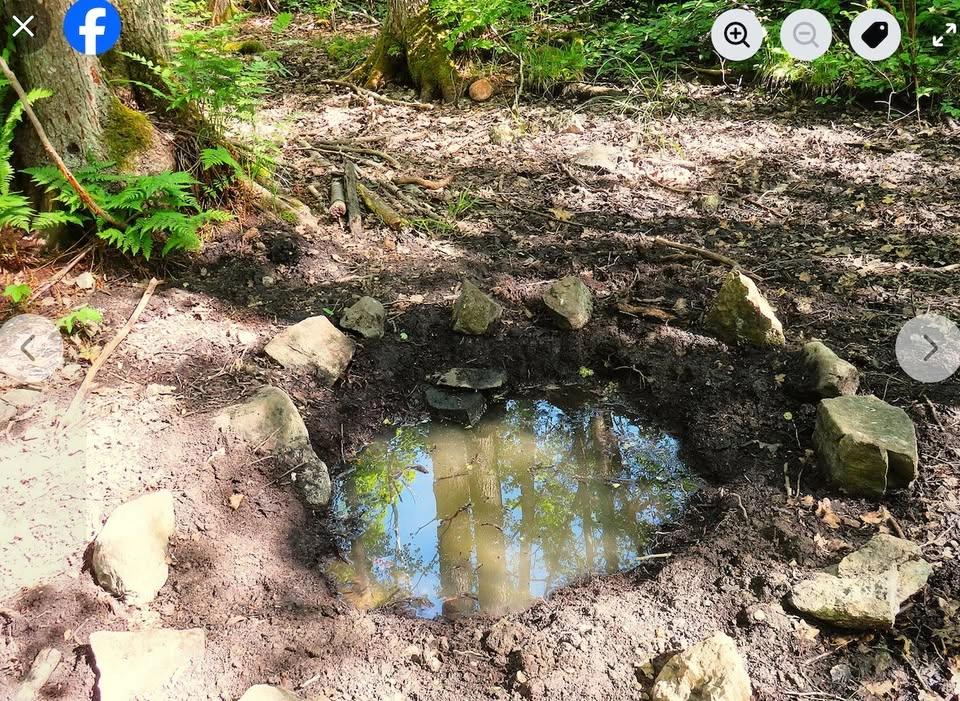 Guidning biologiska mångfalden i Bagarmossenskogen med Bergholmskällan natur och arkeologi