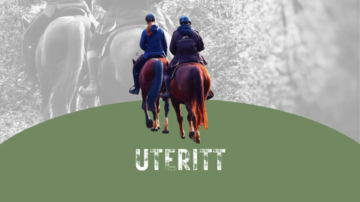 Uteritt