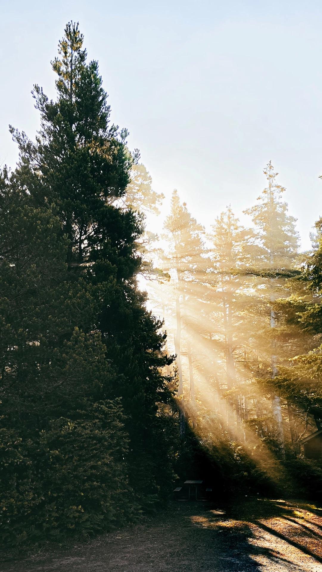 Light IRL: lux and spectrum