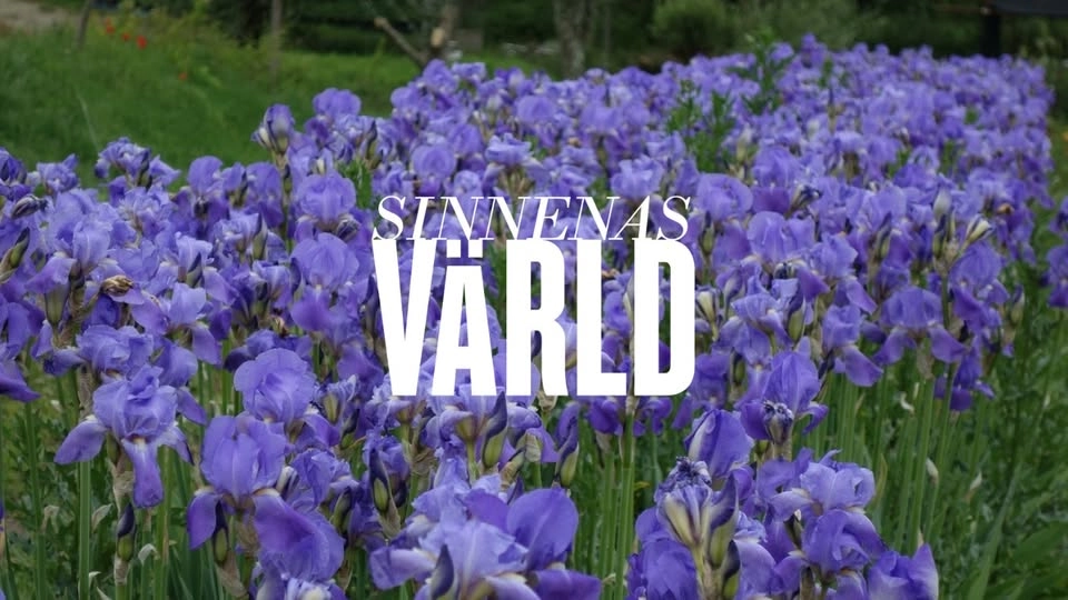 Med doft av iris