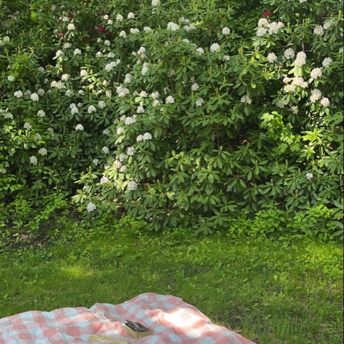 RUN, STRETCH & PICKNICK mit Wholey 🤍