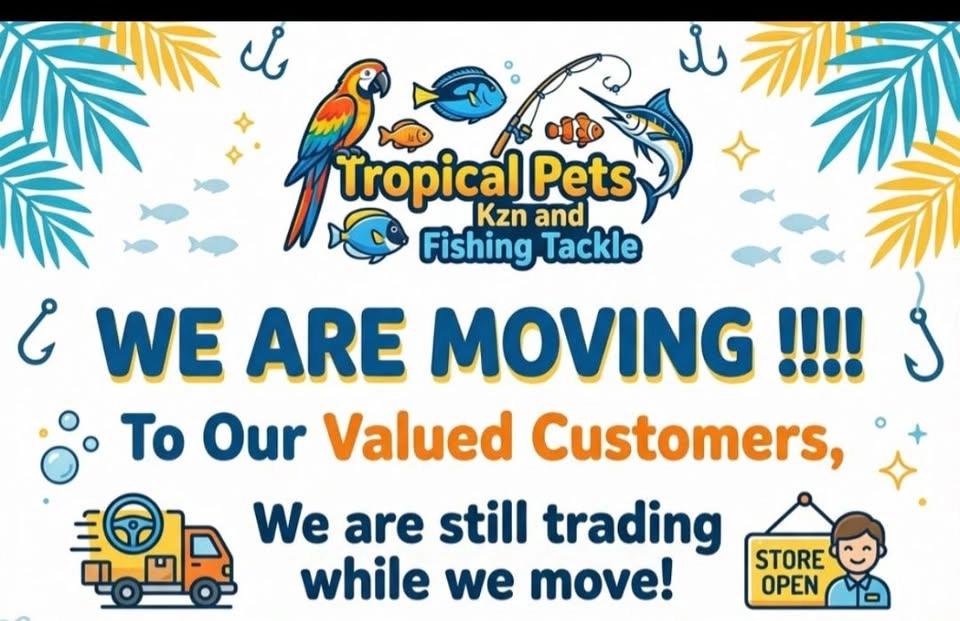 our big move
