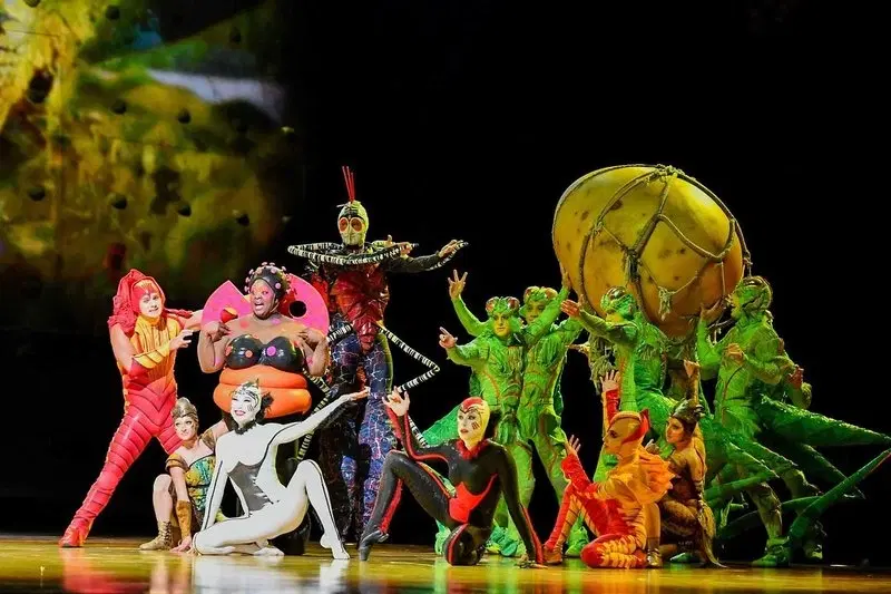 Cirque du Soleil: Ovo